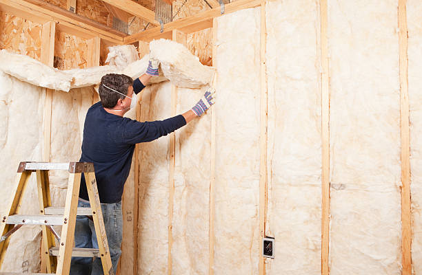 Best Weatherproofing Services  in Chatsworth, IL